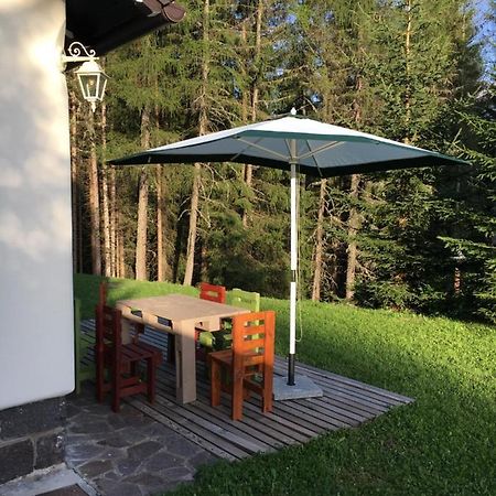 Il Finferlo Villa Bellamonte Ngoại thất bức ảnh